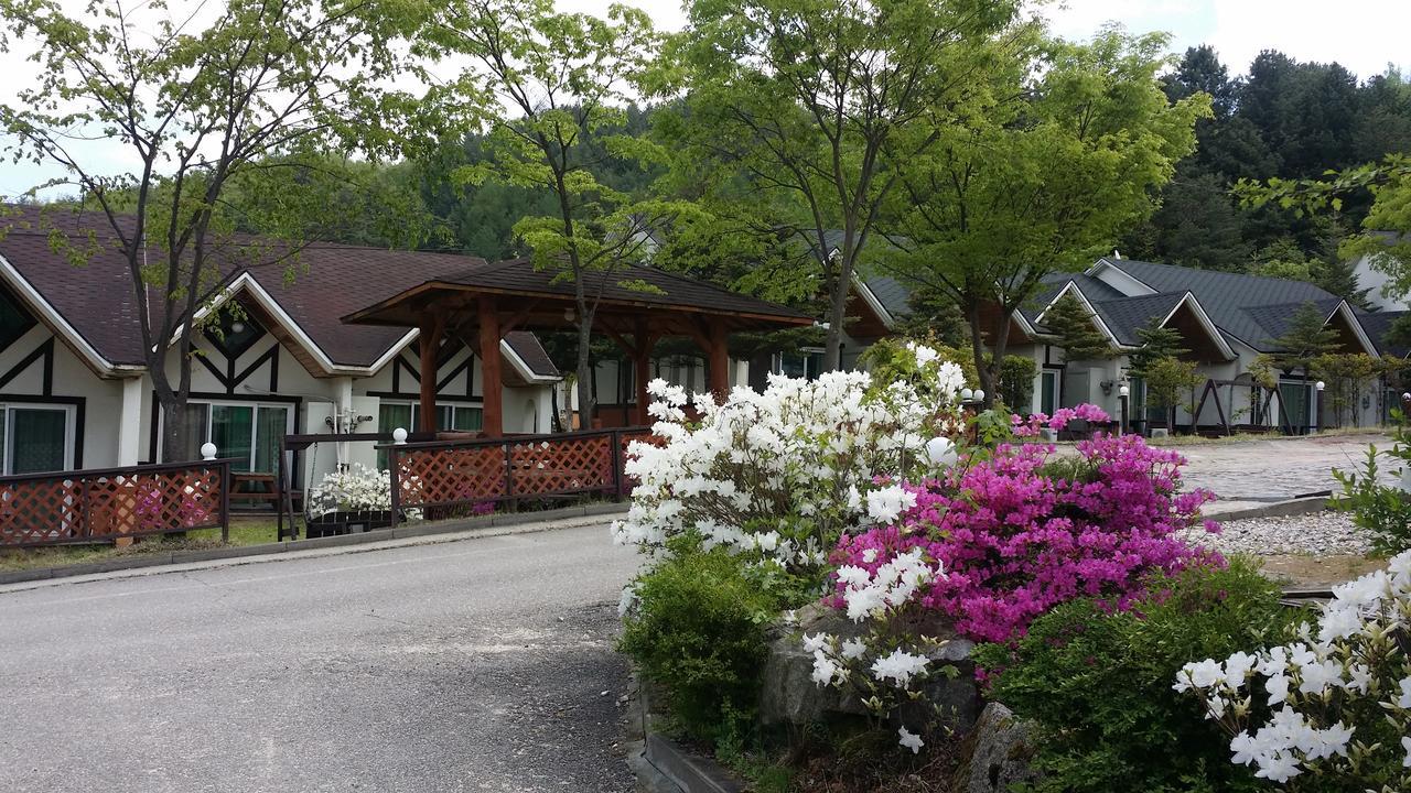 Pyeongchang Iris Pension エクステリア 写真